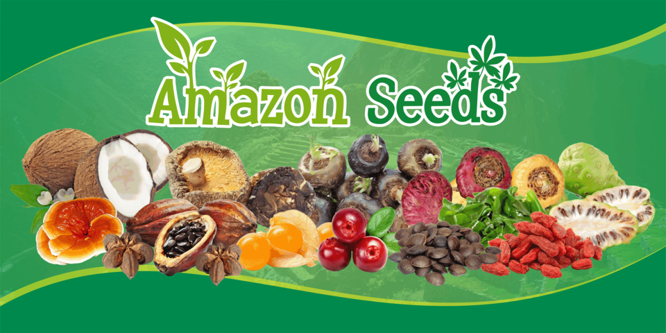 banner-amazon-seeds-m